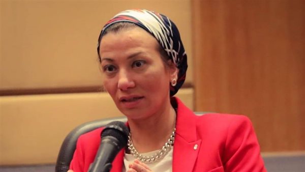 ياسمين فؤاد وزيرة