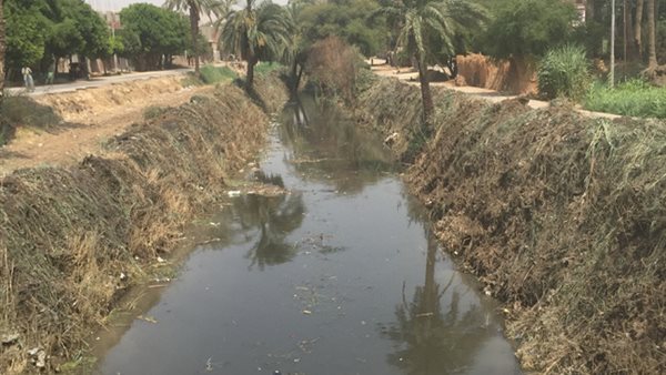 إلقاء المخلفات في