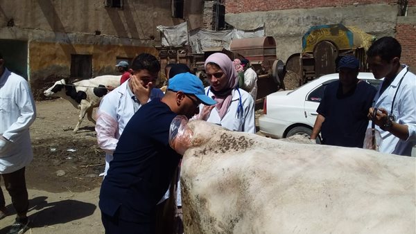 جانب من الحدث