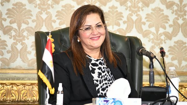 وزيرة التخطيط