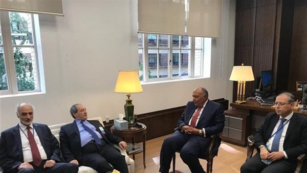 لقاء وزير الخارجية