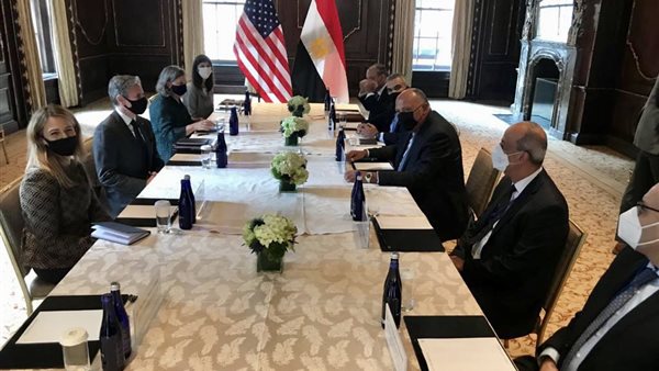 سامح شكري وزير الخارجية