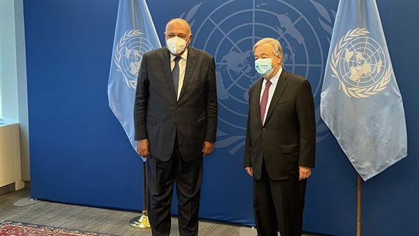 سامح شكري وزير الخارجية