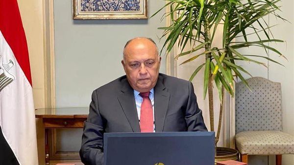 سامح شكري وزير الخارجية