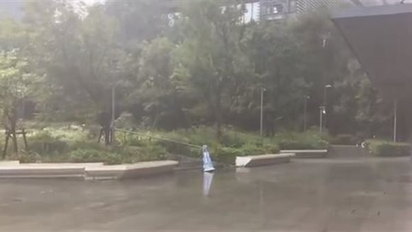 اعصار اليابان 