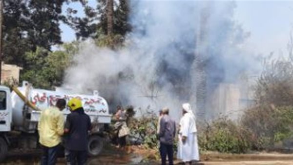 حريق أشجار تابعة