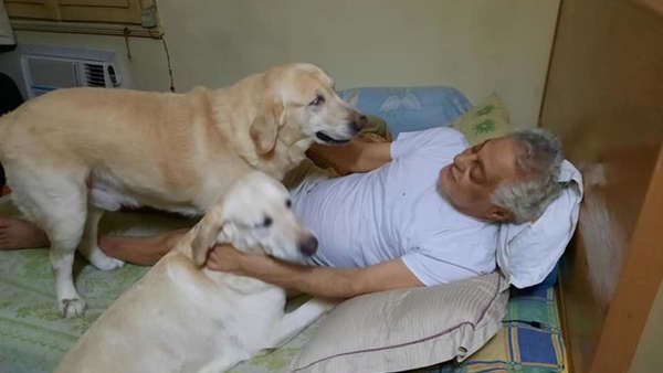 توفيق عبدالحميد مع