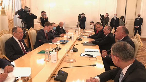 سامح شكري وزير الخارجية