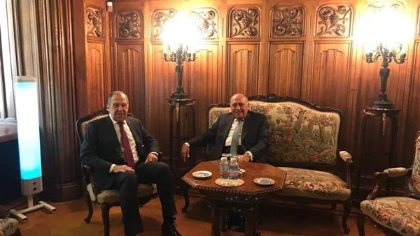 سامح شكري وزير الخارجية