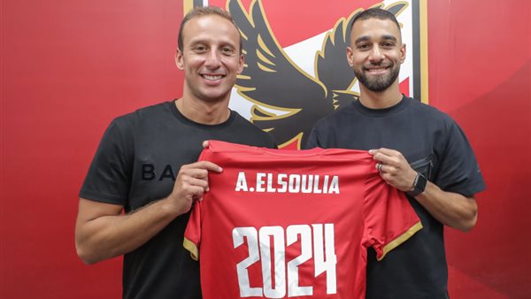 عمرو السولية وأمير