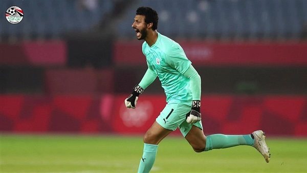 محمد الشناوي 