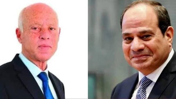 الرئيس السيسي ونظيره