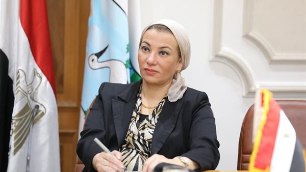 ياسمين فؤاد وزيرة