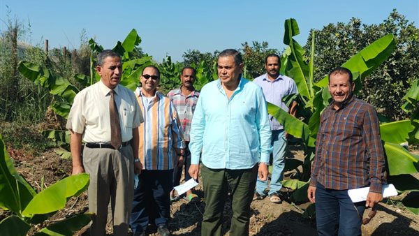 رئيس جامعة كفر الشيخ