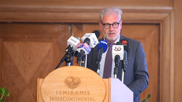 رئيس بعثة المنظمة