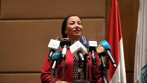 ياسمين فؤاد وزيرة