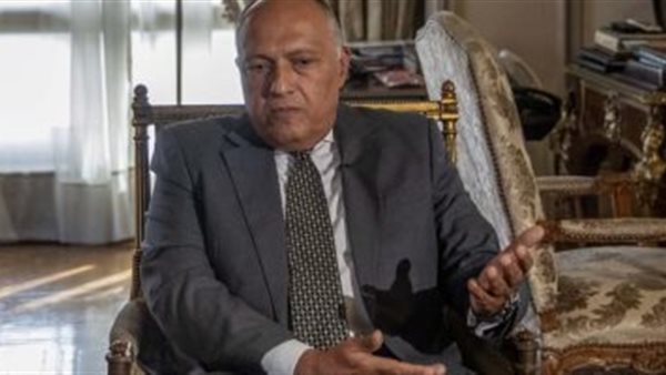 سامح شكرى وزير الخارجية