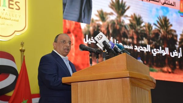 محمود شعراوى وزير