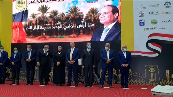 الدكتور على المصيلحي