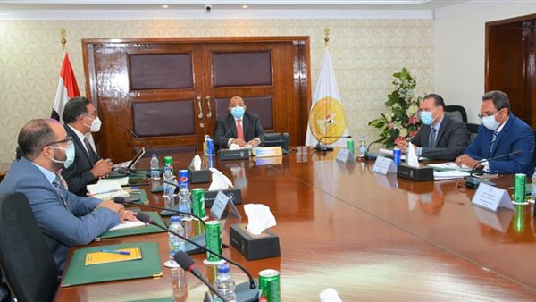 محمود شعراوى وزير