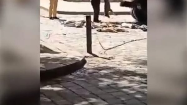 صورة من الحدث