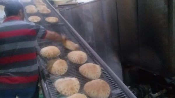 جانب من الحملة