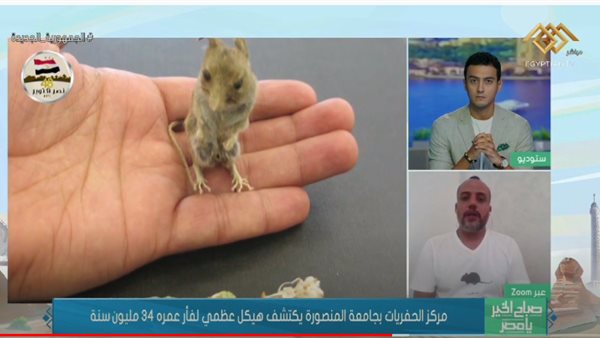 جانب من الحدث