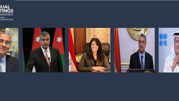 جانب من المشاركة