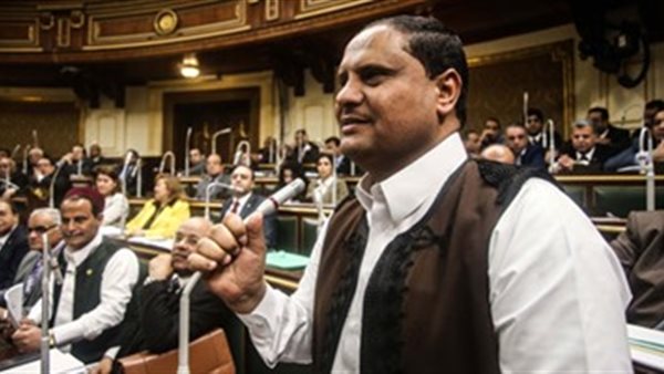 النائب رزق جالي 