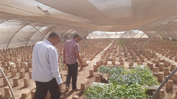 جانب من الحملات