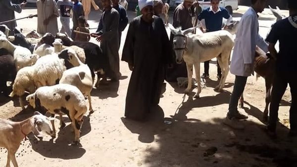 جانب من الحدث