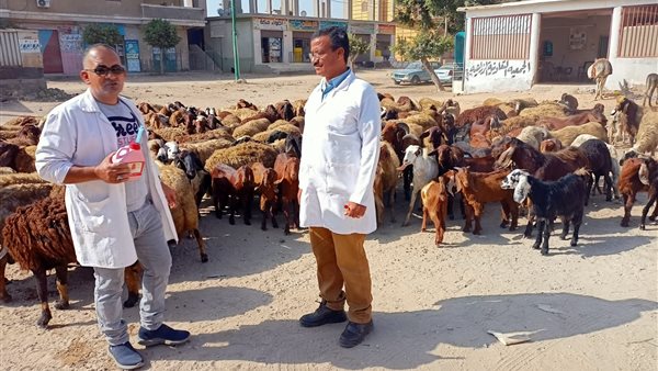 جانب من الحدث