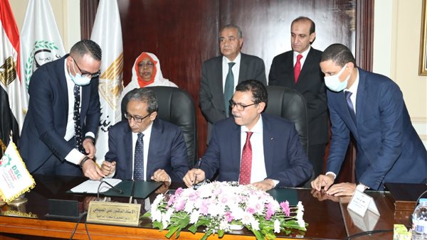 على المصيلحى