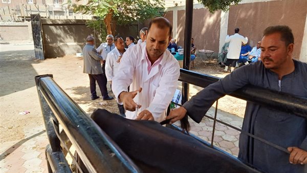 جانب من القافلة البيطرية