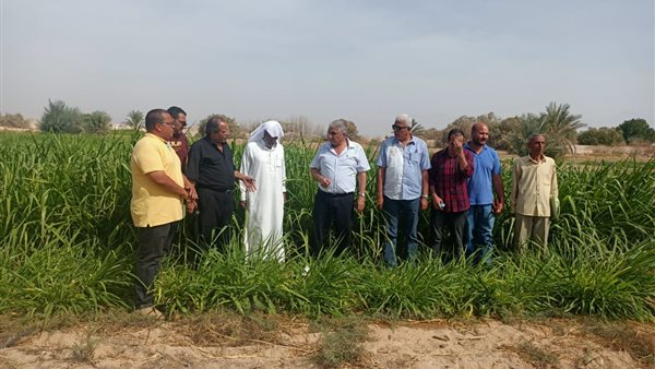 جانب من الحدث