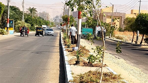 جانب من الحدث