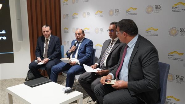 وزير التنمية المحلية