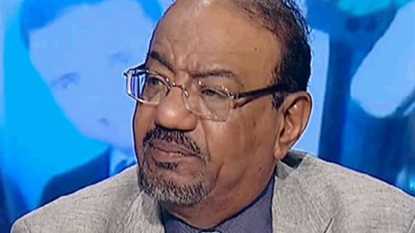 الدكتور نبيل عبدالفتاح