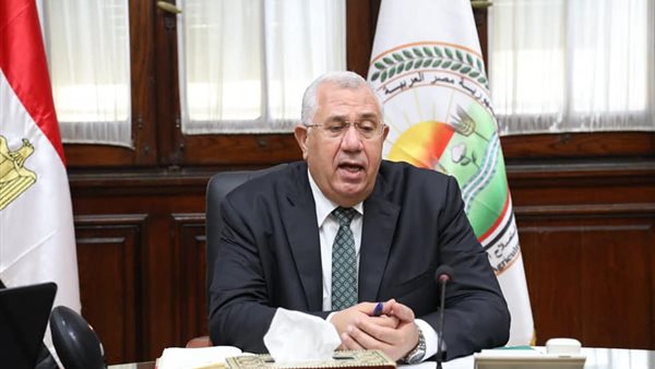 السيد القصير