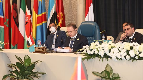 المستشار حماده الصاوي