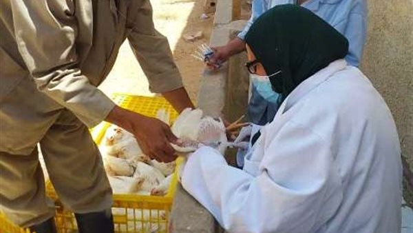 جانب من الحدث