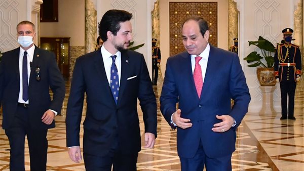 لقاء الرئيس وولى