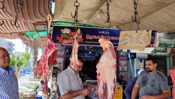 جانب من الحملات