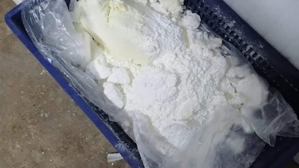 جانب من المضبوطات