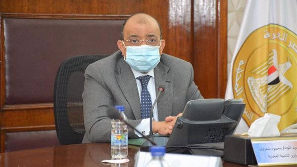 محمود شعراوى وزير