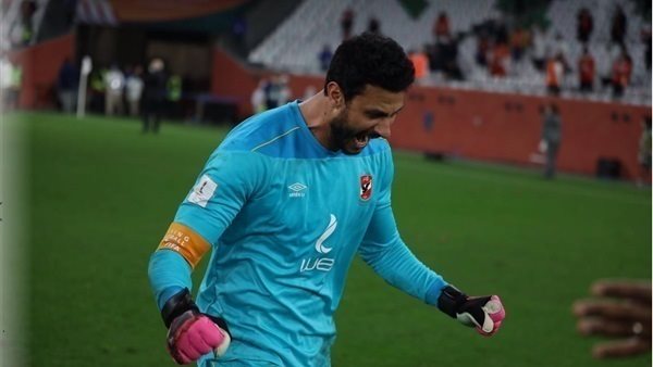 محمد الشناوي