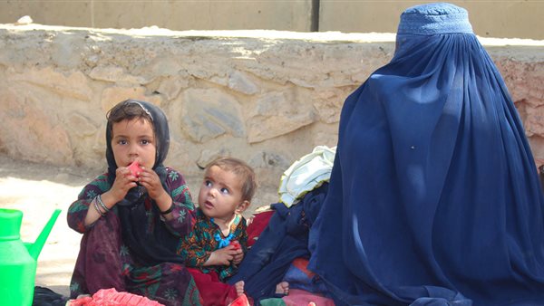 صورة أرشيفية