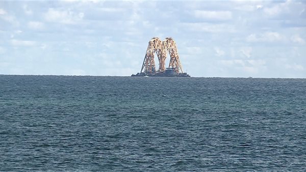 الجسم الغريب