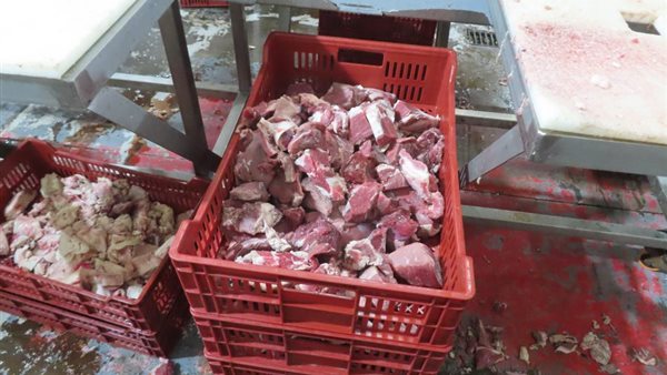 جانب من المضبوطات