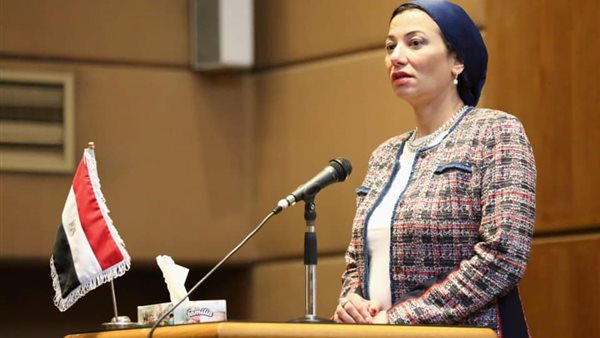 ياسمين فؤاد